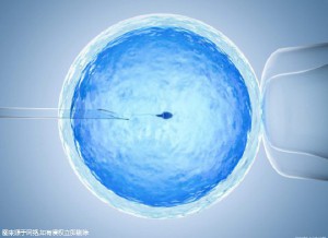 三代试管供卵生男孩
